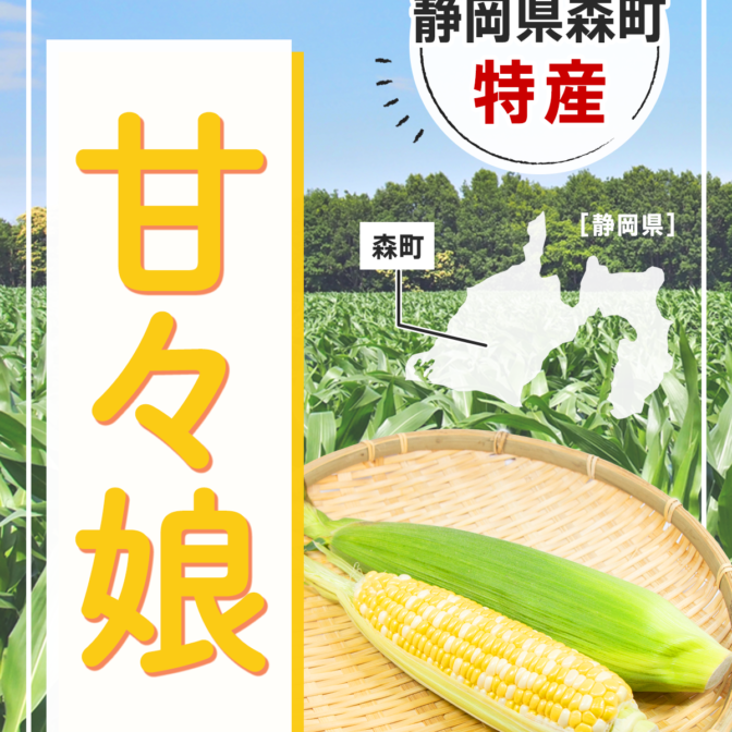 Ver.2-2-672x672.png
